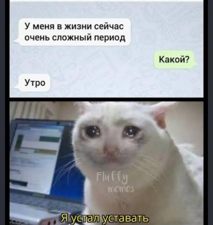 У меня тоже😭