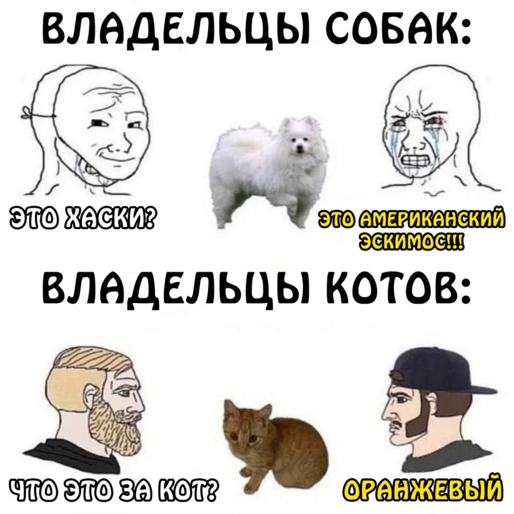 Спасибо за 30 подписчиков!! Мне очень приятно!