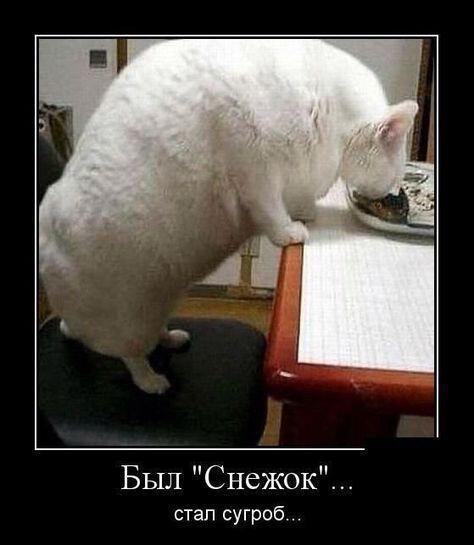 Когда приехал от бабушки