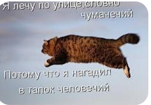 Пушкин в виде кота