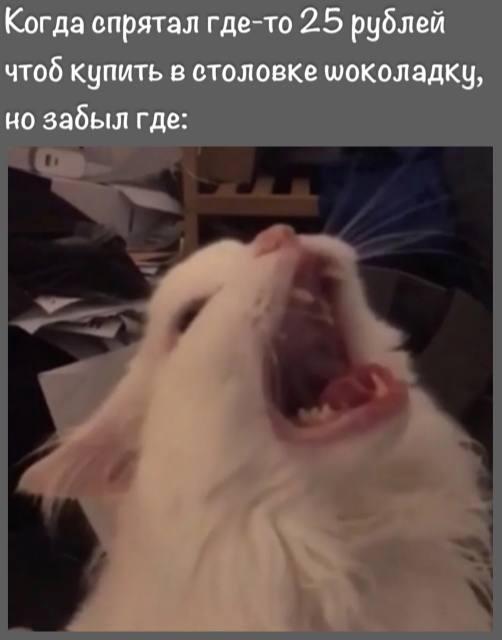 (\_/)
( •.•)
/> https://t.me/boba_lol_xaxax
(тг группа)