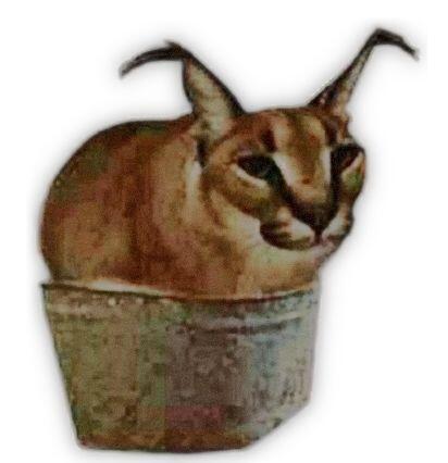 Я:покупаю себе новые кроссовки
Также кот: