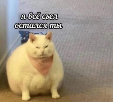 Мем от DudefromReddit стал амфибией 🐸