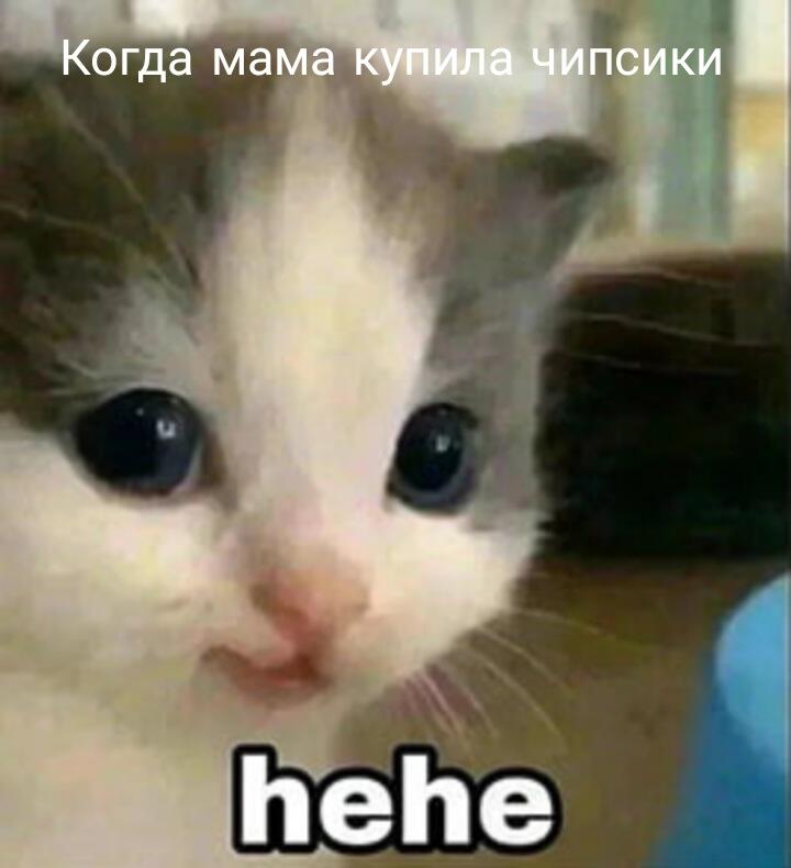 POV:Купили чипсики