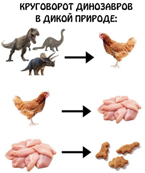 Мем без подписи