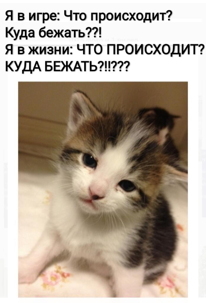 Мем от Lahma