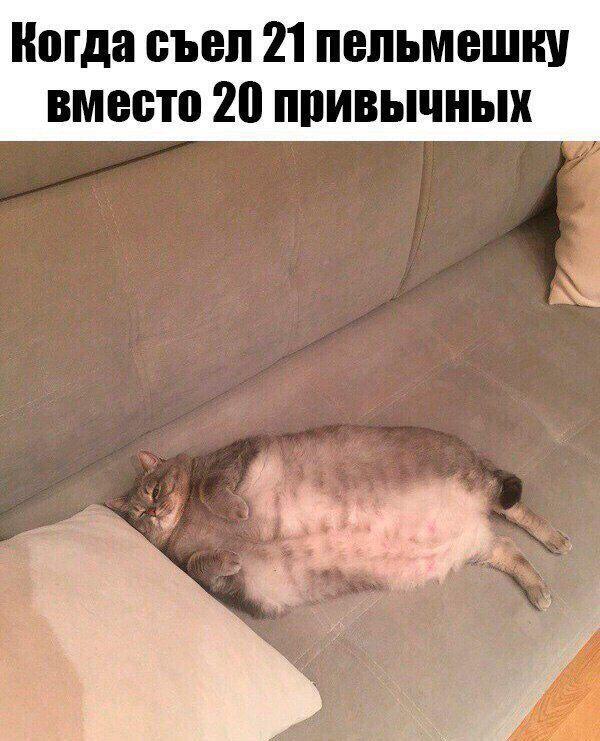 Ладно, мемов в пинтересте нормальных нет, придется либо пропадать либо делать самой. зато я яичницу съела!!:3 прогресс,