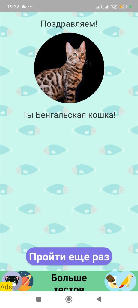 Пов:я в 3 ночи с Интернетом
Прохожу тест какой я тапок