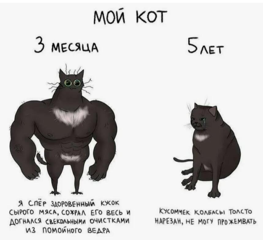Мем от -Week- CHUP (free Schlep)