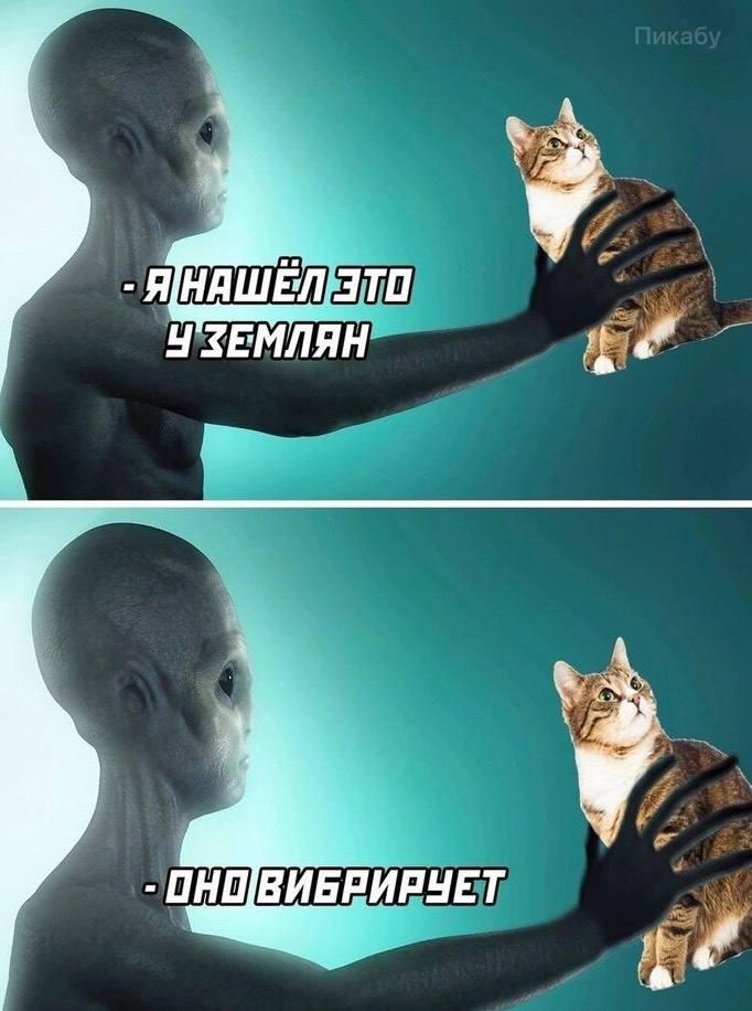 Мем от ГУП "НМТ"
