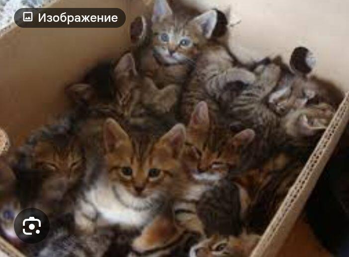 Когда едешь в лифте с другими людьми
Ощущения: