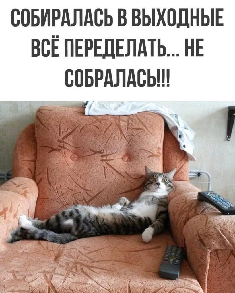 Мем от ГУП "НМТ"