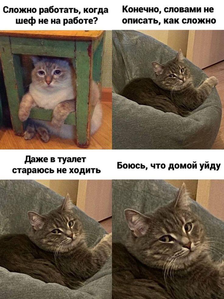 Чисто я на работе