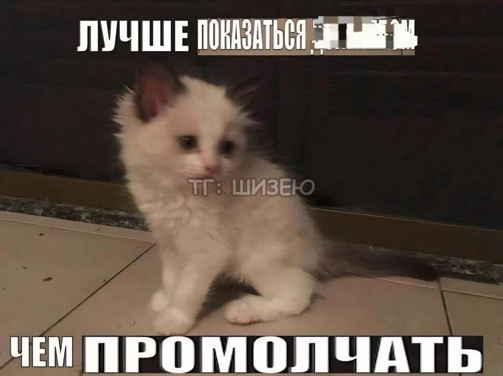 Как и обещал, вот вам несколько интернет мемов) (брал рандомные +- одыкватные так-что меня в их качестве не вените))