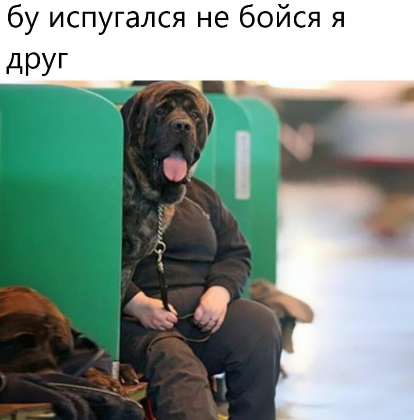 Мем от саня4оус