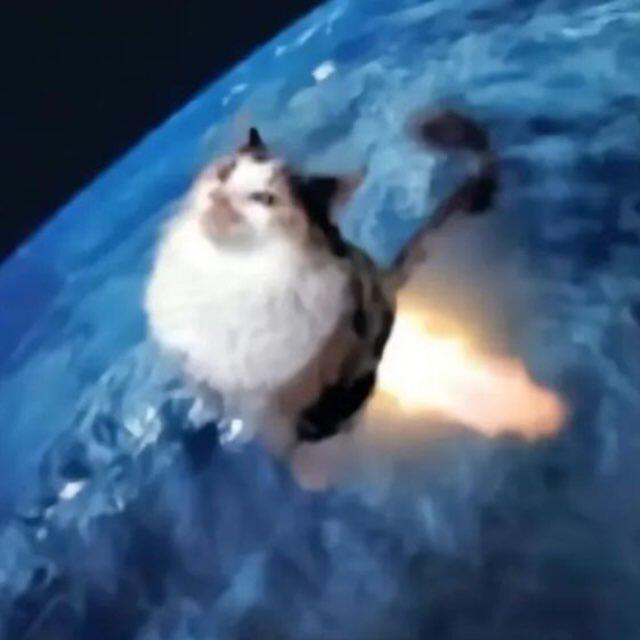 Чисто я в школе