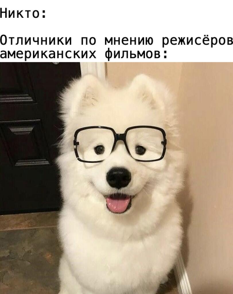 Мдэ уж, опять делаю мемы сама, мой юмор тупо 💀