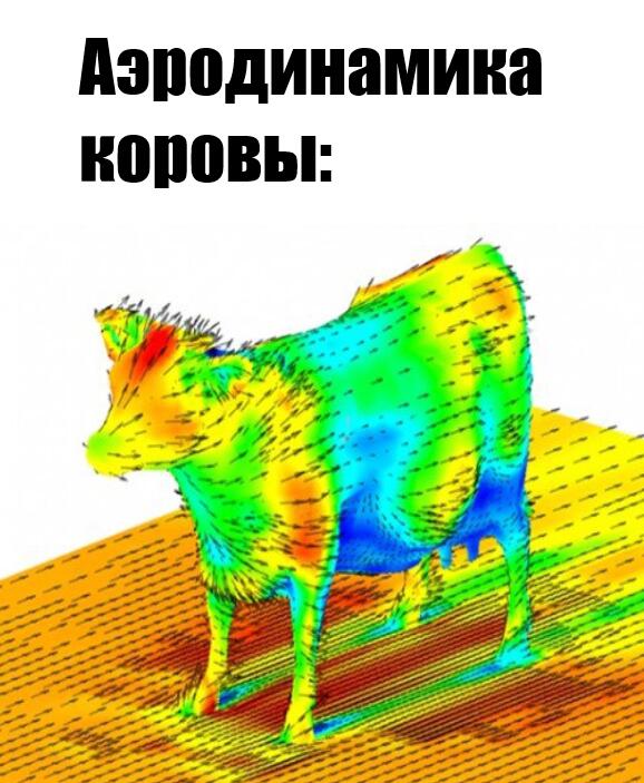 =)))