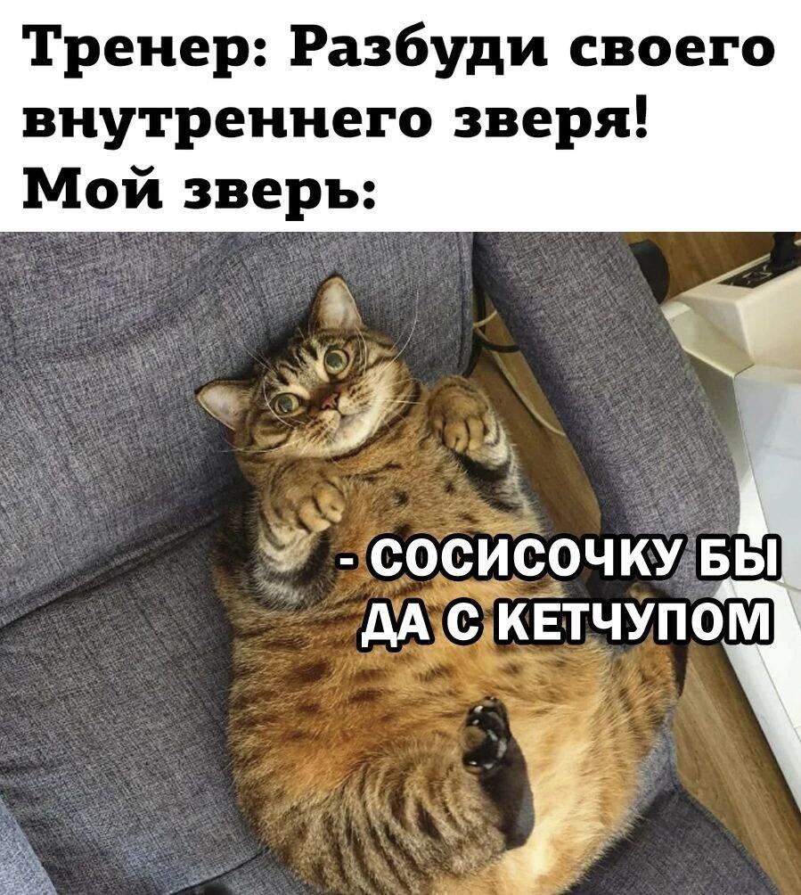 Мем от КотоУт