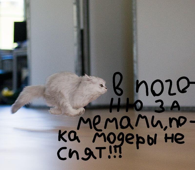 Утро.
Я: *публикую мем*.
Мем: *спустя секунду выходит с модерации*
Я: