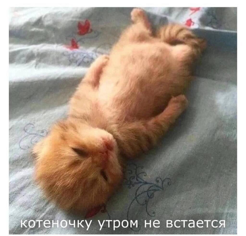 Мем без подписи