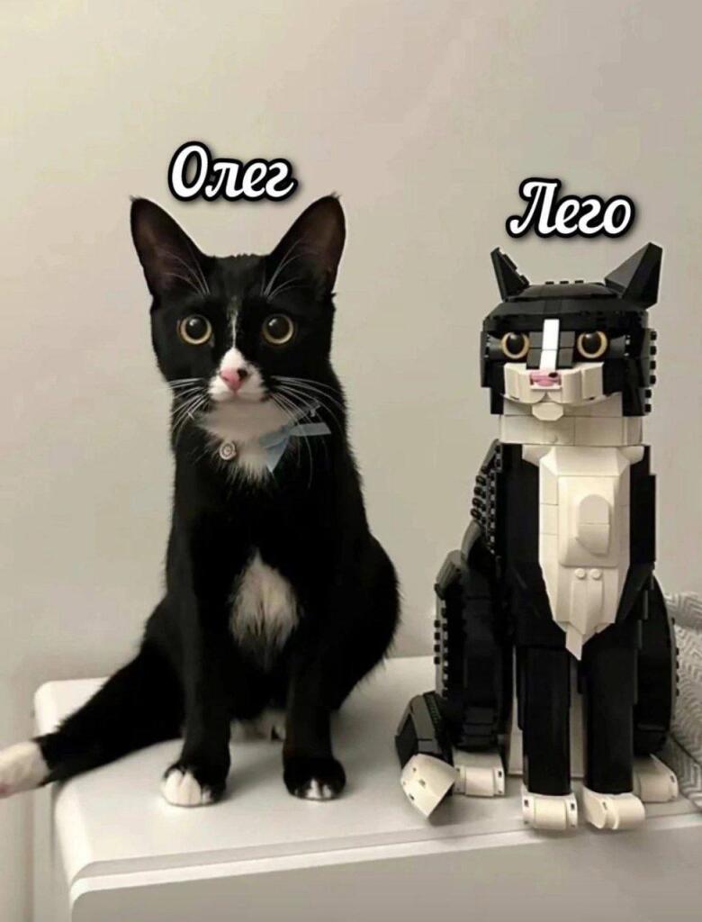 Мем от КотоУт
