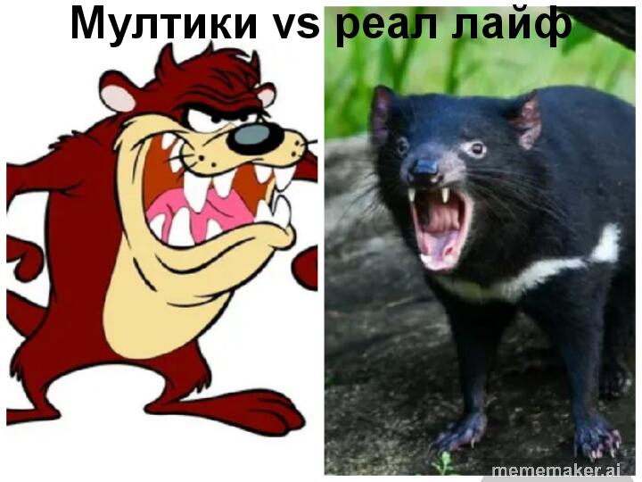 Тасманийский дьявол