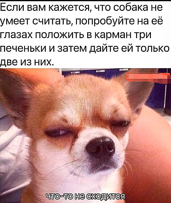 Мем от саня4оус