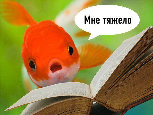 Крч меня выгнали с урока за то что я сказал училке что звонок, она сказала звонок для учителя и я ей ответил ну вы и иди