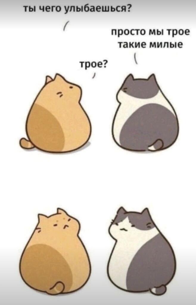 :3