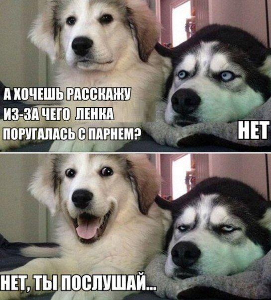 не хочу отвали