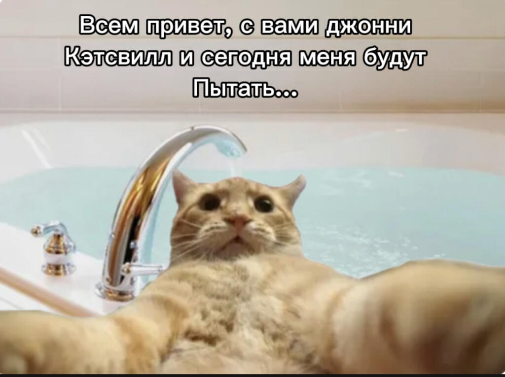 Джонни Кэтсвилл