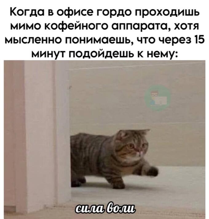 Е