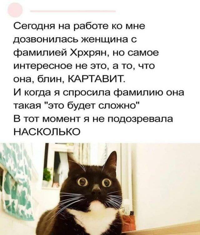 Даже жаль её...