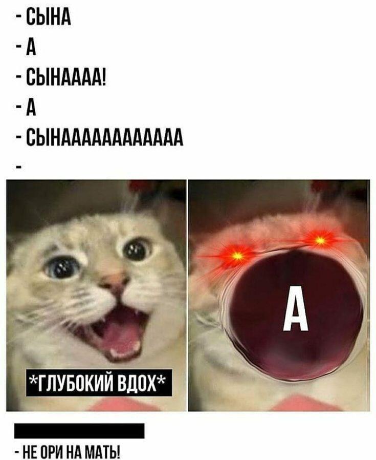 Жизненная жиза