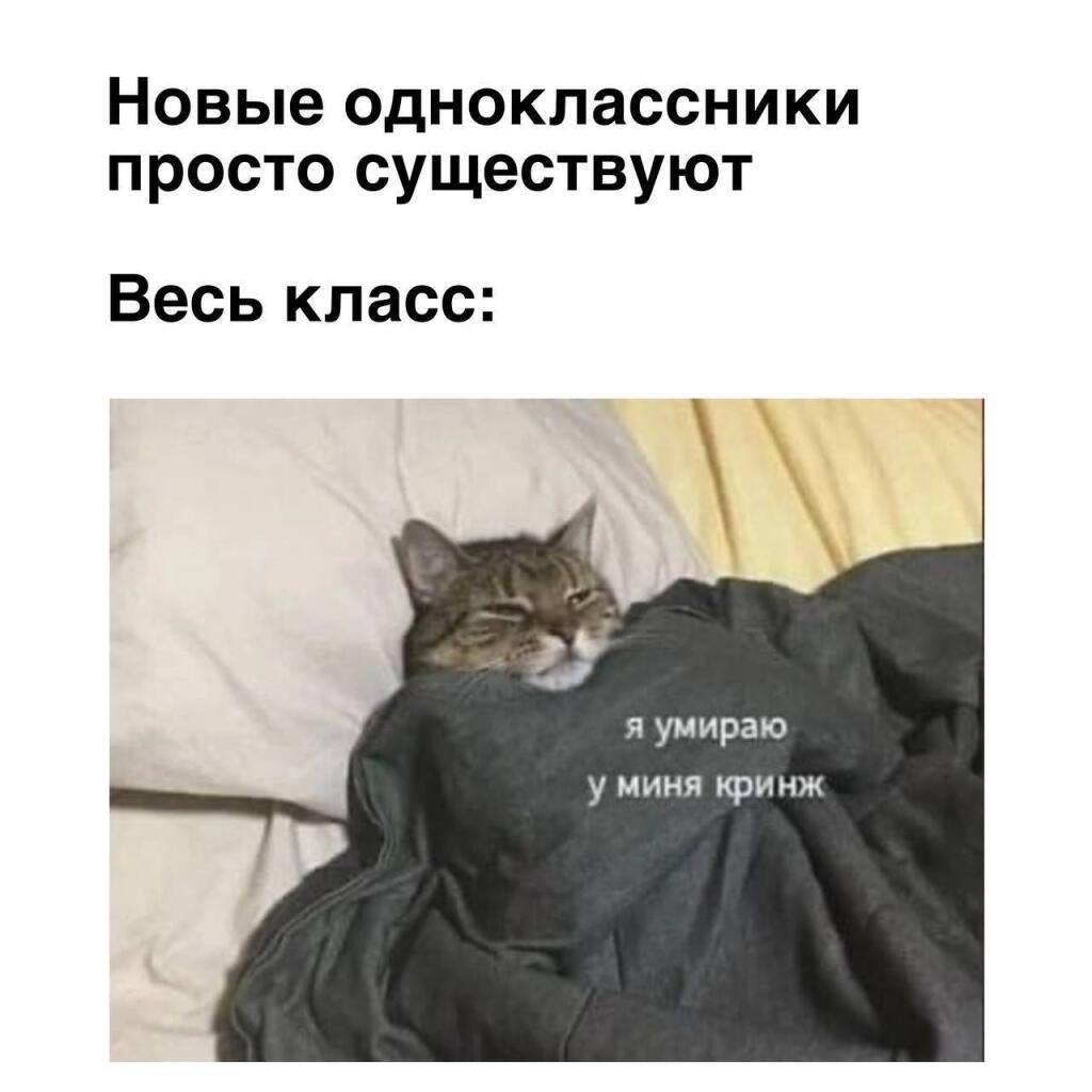 Кстати, у меня в этом году новый одноклассник, так что буду прощупывать почву