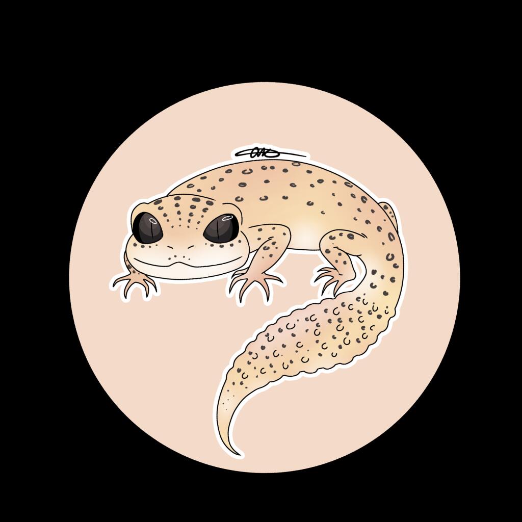 Спасибо моей лучшей подруге за этого милого эублефарчика❤️🦎