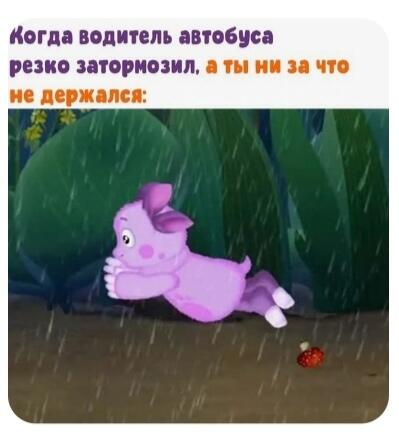 Мем от DudefromReddit стал амфибией 🐸