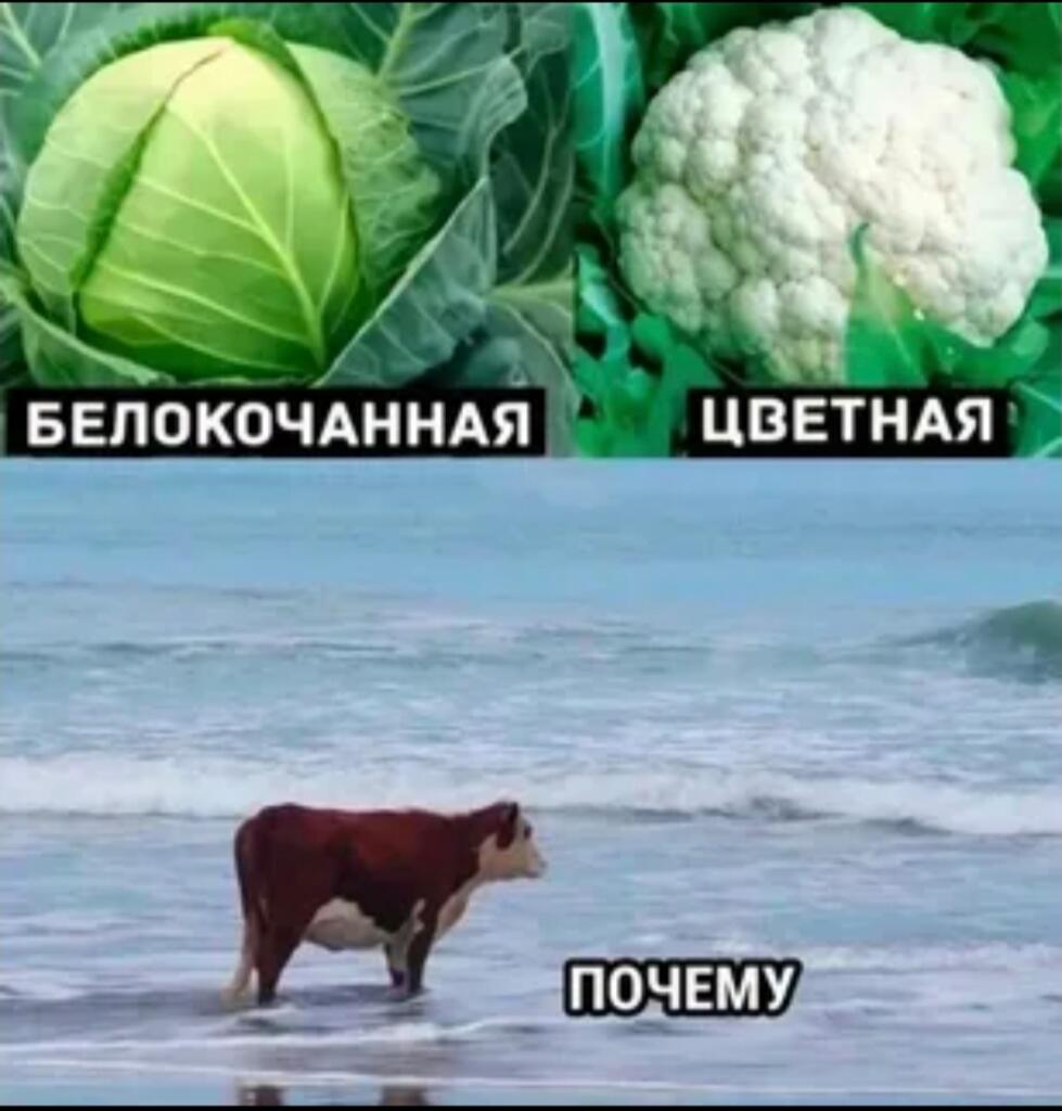 Это мне кажется, риторический вопрос