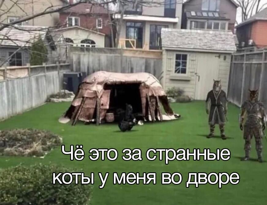 Мем от Брахмапутра