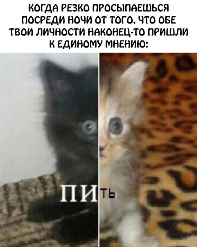 Мем без подписи