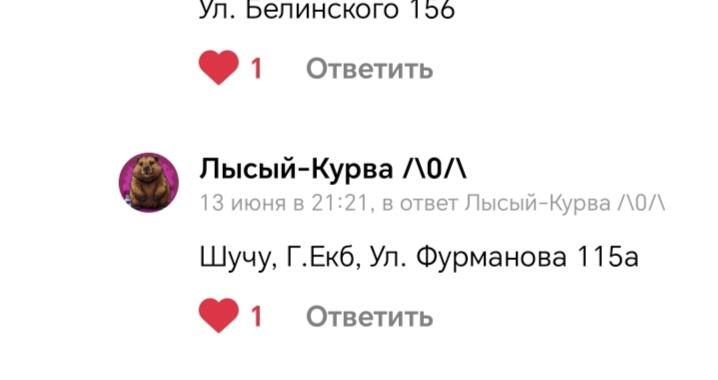 В прикольном месте живёт лысый курва