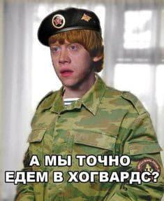 Мем от саня4оус