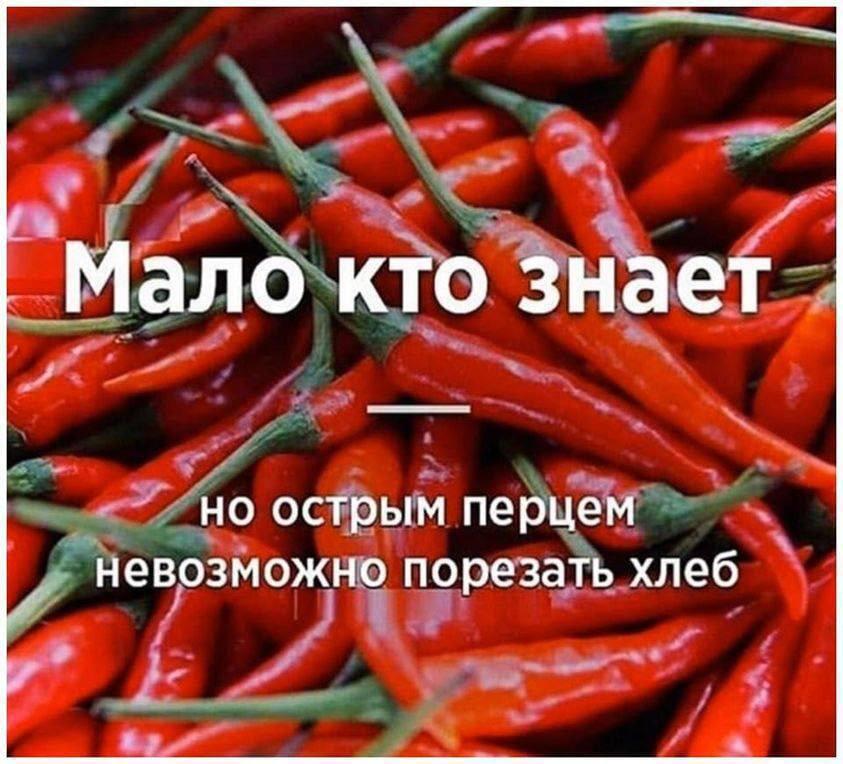 Мем от Империя кактусов[ПЛМ]