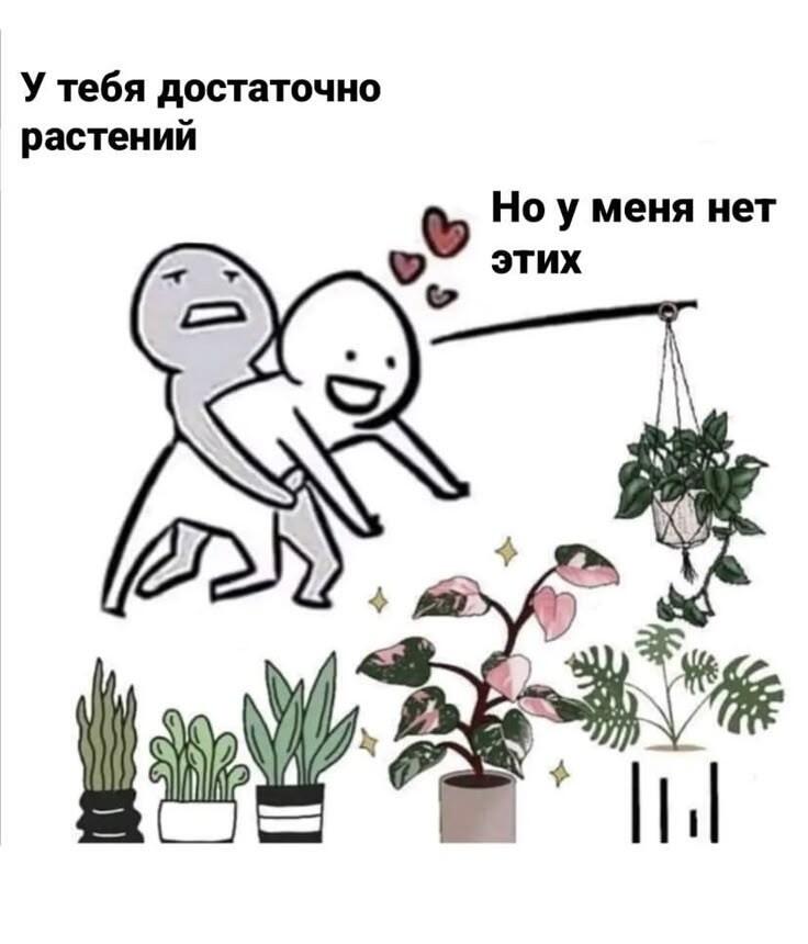 Просто случайно нашла мега жизненный мем. Ну да это я:D