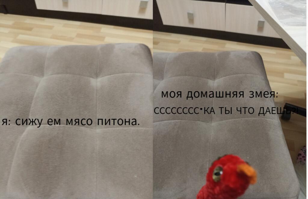 Один вопрос: откуда у меня мясо питона, когда я живу в ДНР?