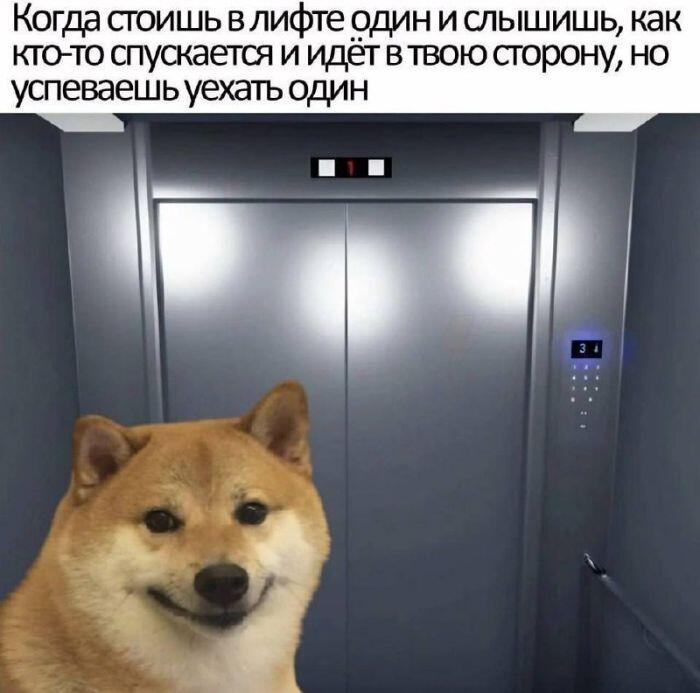 Мем от Батя