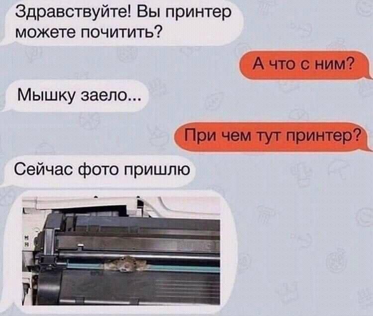 Жаль конечно этого добряка...