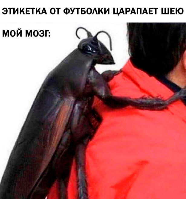 Мем от Фантоккио Великий