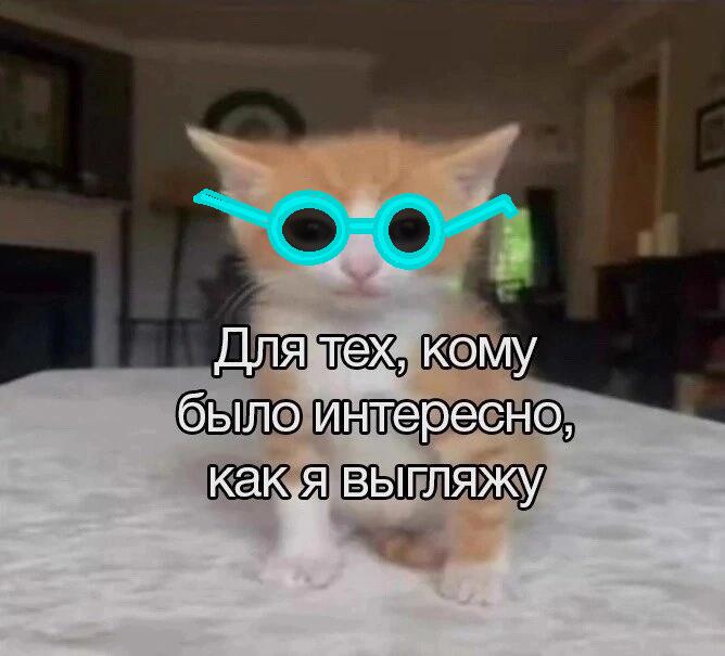 Мем от 1234 tmd